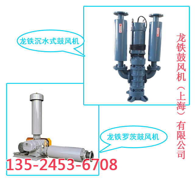 龍鐵黑臭河道治理羅茨鼓風(fēng)機(jī)