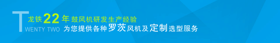 龍鐵鼓風機--中國羅茨鼓風機供應(yīng)商